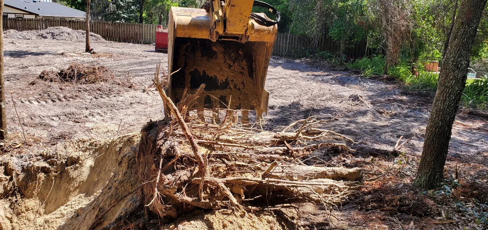 Excavator bucket pulling a stump and its root ball out of sandy ground during lot clearing