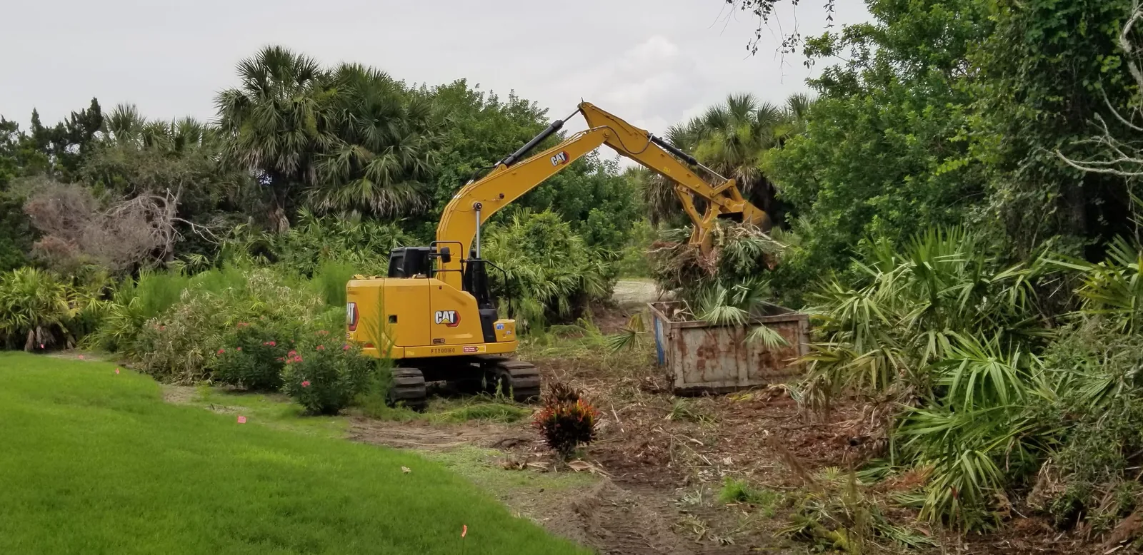 Excavator loading cleared palmetto fronds and brush into a container during a lot-clearing job