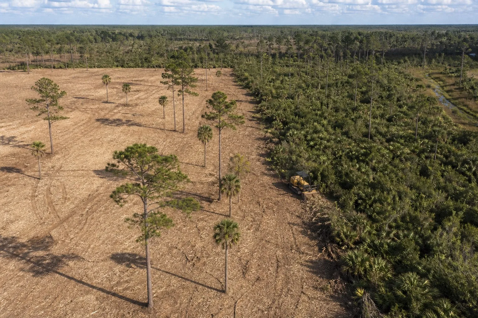 Aerial view of freshly cleared acreage bordering pine flatwoods and saw palmetto, with a dozer working along the tree line